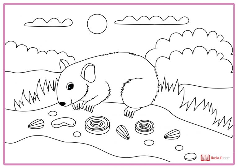 HAMSTER BOYAMA