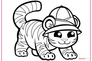 KAPLAN BOYAMA SAYFALARI