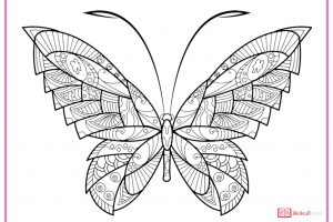 KELEBEK BOYAMA SAYFALARI