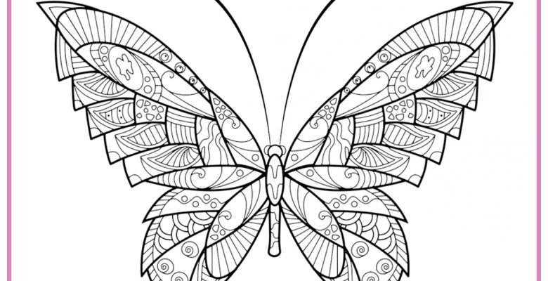 KELEBEK BOYAMA SAYFALARI