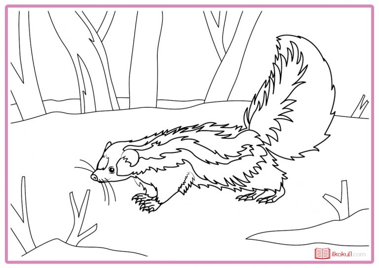 KOKARCA BOYAMA SAYFALARI