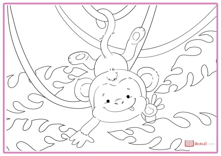 MAYMUN BOYAMA SAYFALARI