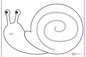 SALYANGOZ BOYAMA SAYFALARI