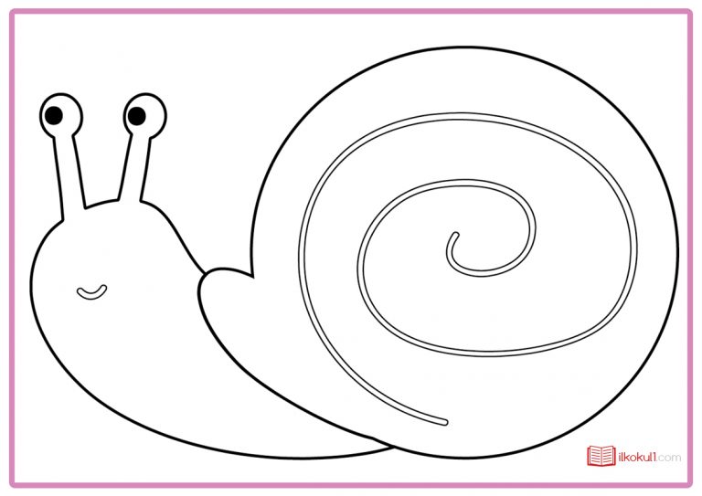 SALYANGOZ BOYAMA SAYFALARI