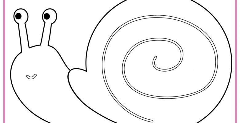 SALYANGOZ BOYAMA SAYFALARI