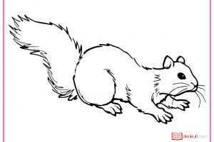 SİNCAP BOYAMA SAYFALARI