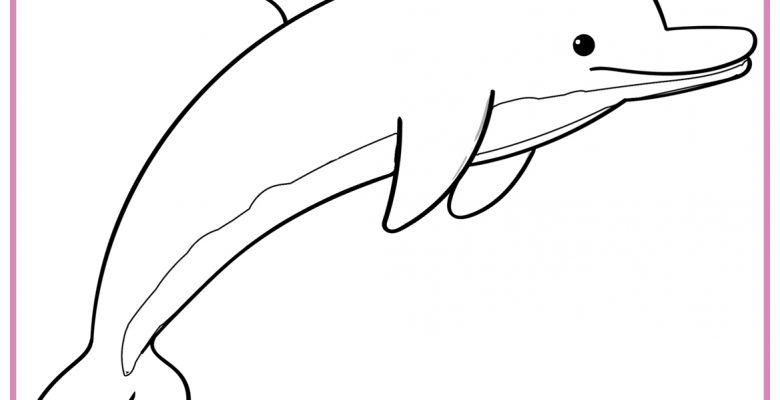 YUNUS BOYAMA SAYFALARI