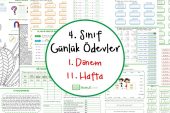 4. Sınıf Günlük Ödevler 1. Dönem 11. Hafta