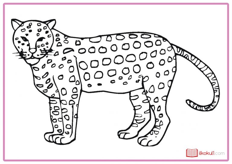 Çita Boyama Sayfaları