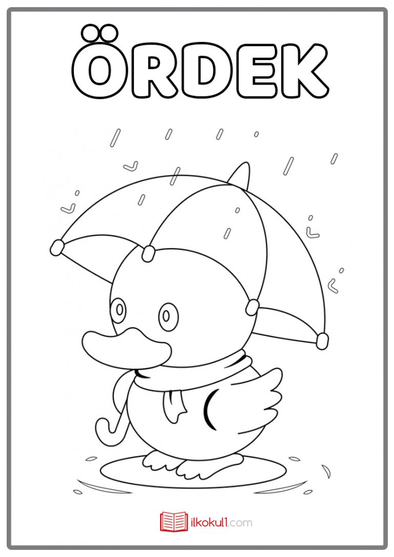 Okul Öncesi Kolay Boyama Sayfaları