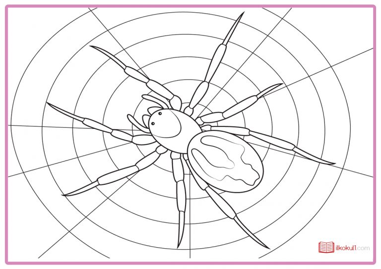 ÖRÜMCEK BOYAMA SAYFALARI