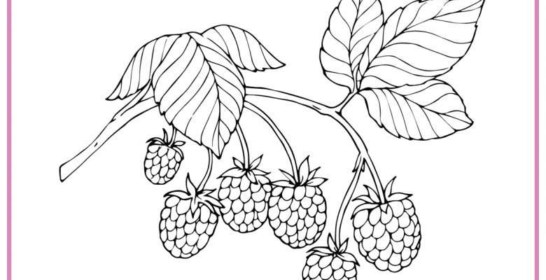 AHUDUDU BOYAMA SAYFALARI