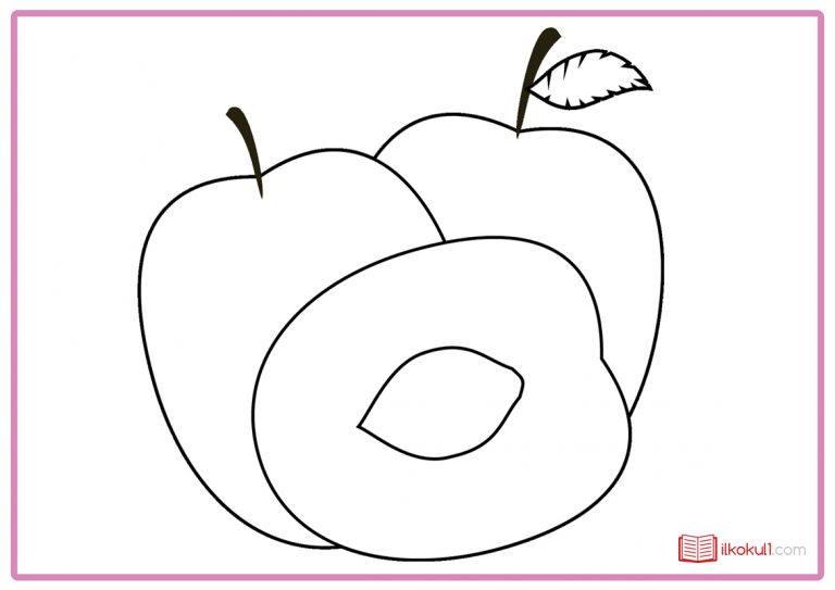 ERİK BOYAMA SAYFALARI