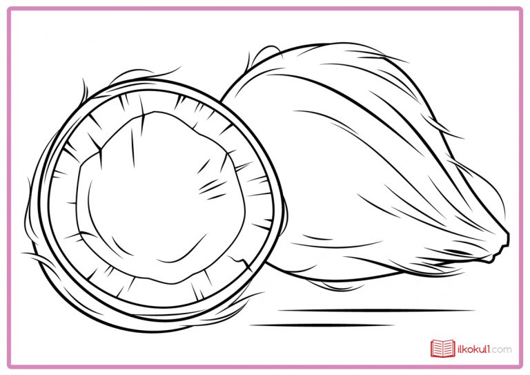 HİNDİSTAN CEVİZİ BOYAMA SAYFALARI