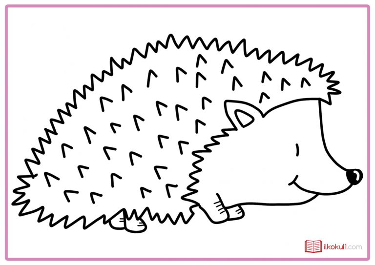 Kirpi Boyama Sayfası