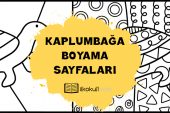 Kaplumbağa Boyama Sayfası